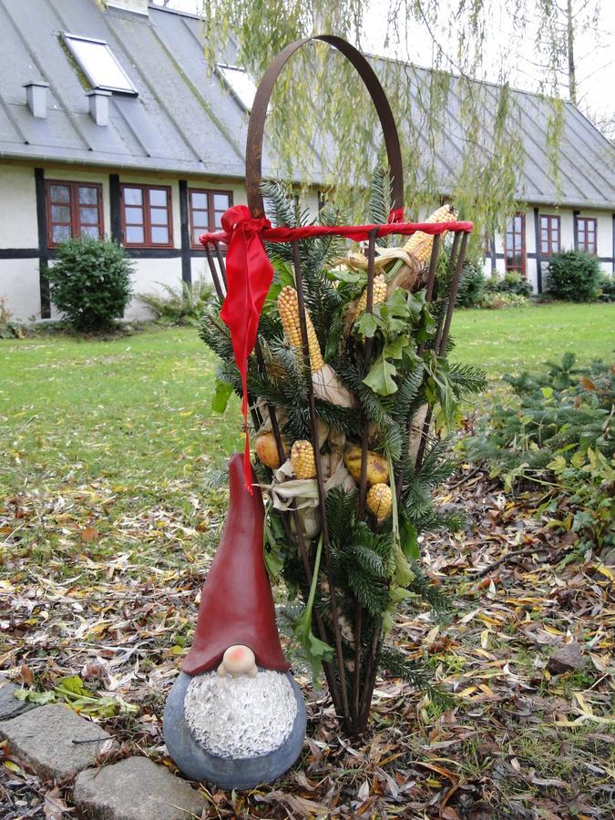 Dyssegaard B&B Skallerup Dış mekan fotoğraf