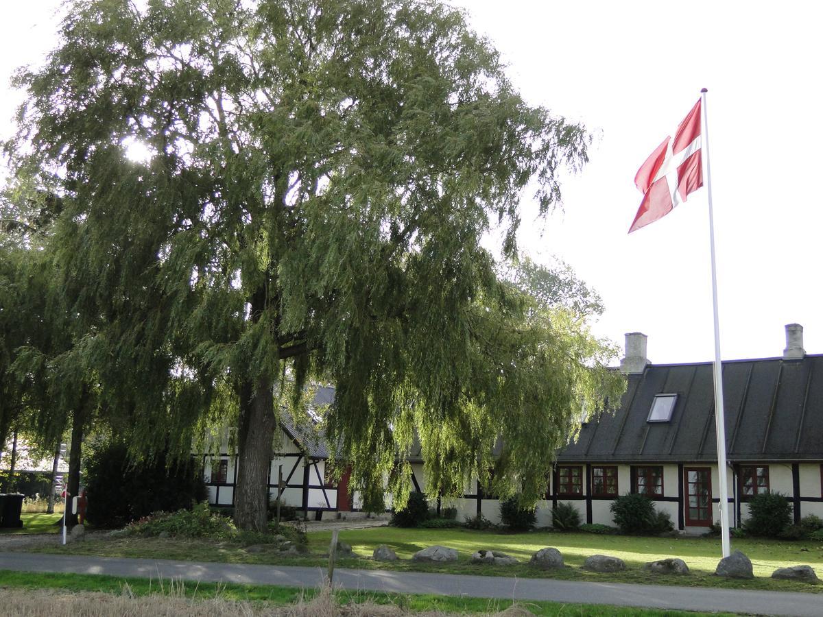 Dyssegaard B&B Skallerup Dış mekan fotoğraf